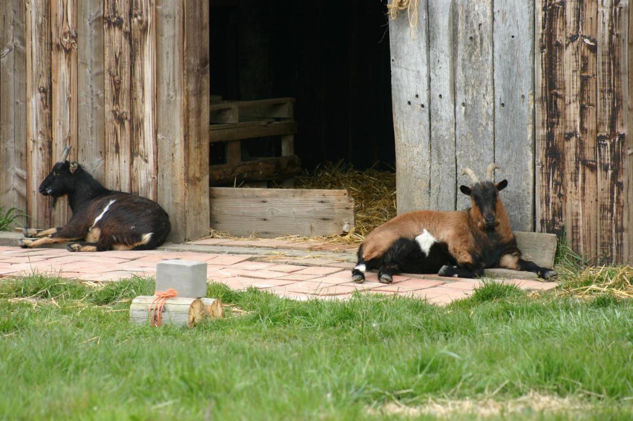 Gite Chez Loupi Épaignes Esterno foto