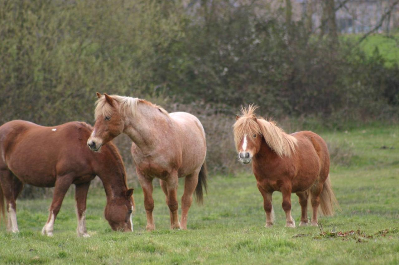 Gite Chez Loupi Épaignes Esterno foto