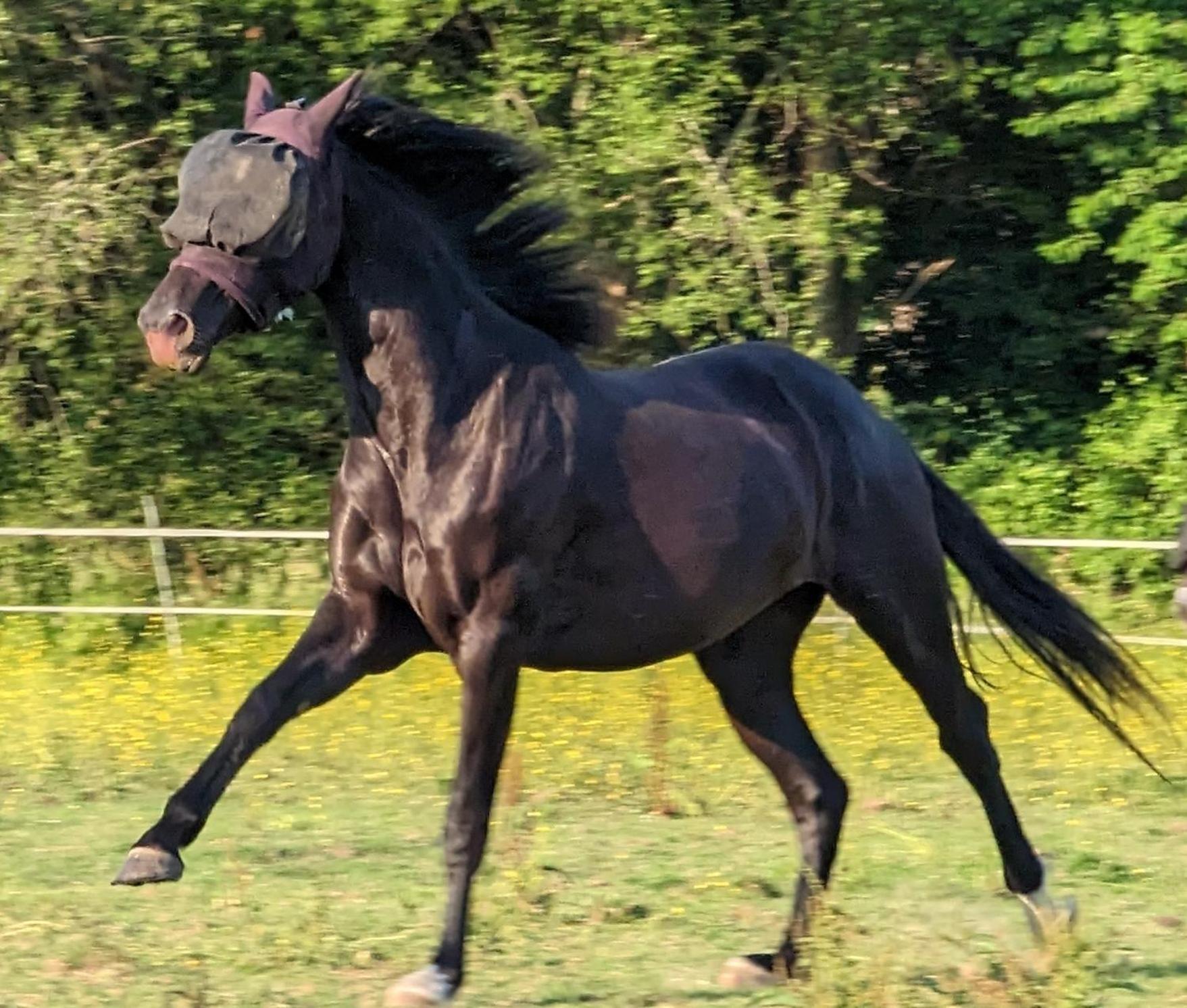 Gite Chez Loupi Épaignes Esterno foto
