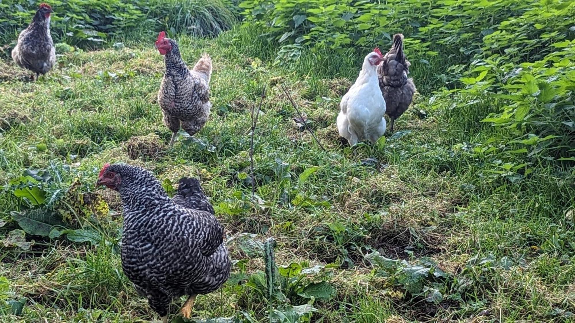 Gite Chez Loupi Épaignes Esterno foto