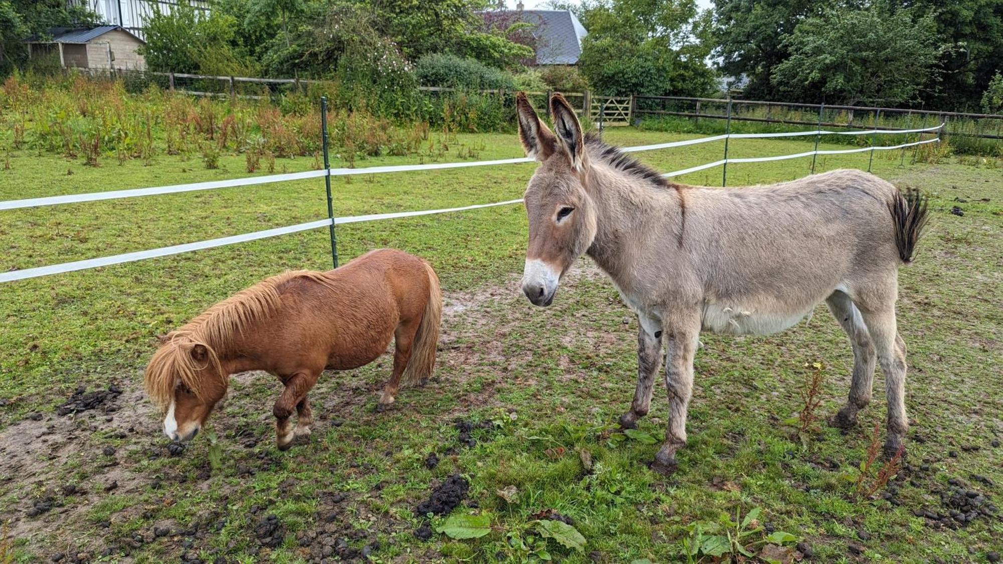 Gite Chez Loupi Épaignes Esterno foto