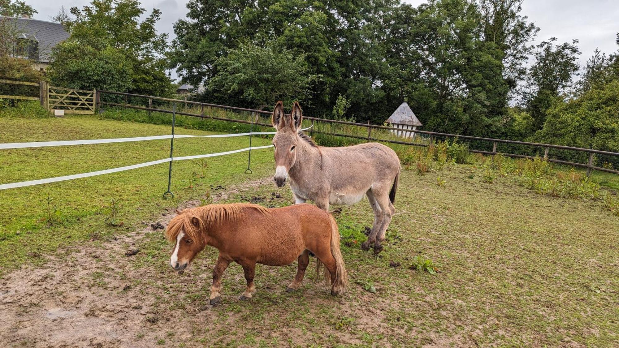 Gite Chez Loupi Épaignes Esterno foto