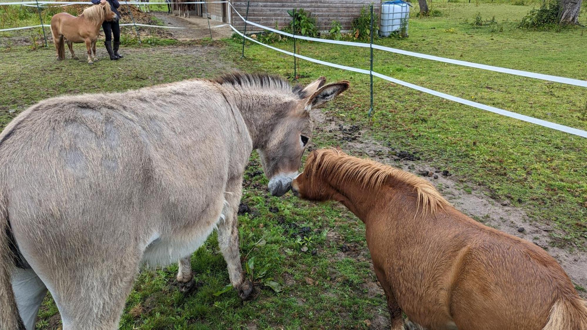 Gite Chez Loupi Épaignes Esterno foto